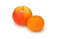 Fresh, juicy, bright apple and mandarin on a white background