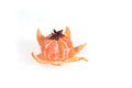 Fresh juicy bright mandarin decorated with anise and vanilla sticks on a white background.