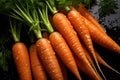 Fresh juicy carrot with leaves