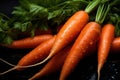 Fresh juicy carrot with leaves