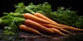 Fresh juicy carrot with leaves