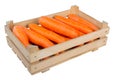 Fresh juicy carrot in a wooden box Royalty Free Stock Photo