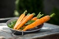 Fresh juicy carrots on a sieve