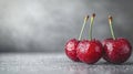 Fresh, juicy cherries with water droplets Royalty Free Stock Photo