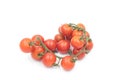 Fresh cherry tomatoes on the vine Royalty Free Stock Photo