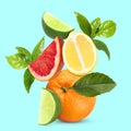 Fresh juicy citrus fruits and green leaves on turquoise background Royalty Free Stock Photo