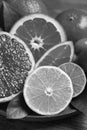 Fresh juicy citrus fruits on plate, closeup. Black and white tone Royalty Free Stock Photo