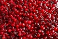 Fresh juicy cranberry sauce as background, closeup Royalty Free Stock Photo