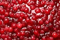 Fresh juicy cranberry sauce as background, closeup Royalty Free Stock Photo