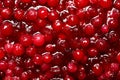 Fresh juicy cranberry sauce as background, closeup Royalty Free Stock Photo