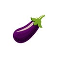 Fresh juicy fruit - eggplant vector icon isolated on white background. eggplant icon, flat style, vegetable vector Royalty Free Stock Photo