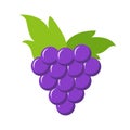 Fresh and juicy grape on white background. Vector illustration. EPS 10