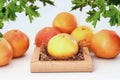 Fresh juicy grapefruits on a white table Royalty Free Stock Photo
