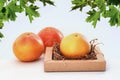 Fresh juicy grapefruits on a white table Royalty Free Stock Photo