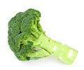 Fresh Juicy Green Broccoli Isolated Royalty Free Stock Photo