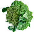 Fresh Juicy Green Broccoli on White Background Royalty Free Stock Photo