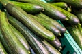 Fresh juicy green cucumbers on the supermarket counter. Cucumber background, ripe vegetables Royalty Free Stock Photo