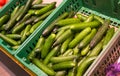 Fresh juicy green cucumbers on the supermarket counter. Cucumber background, ripe vegetables Royalty Free Stock Photo