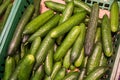 Fresh juicy green cucumbers on the supermarket counter. Cucumber background, ripe vegetables Royalty Free Stock Photo