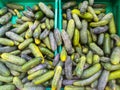 Fresh juicy green cucumbers on the supermarket counter. Cucumber background, ripe vegetables Royalty Free Stock Photo