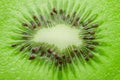Fresh juicy kiwi fruit slice closeup. Royalty Free Stock Photo