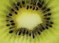 Fresh juicy kiwi fruit slice Royalty Free Stock Photo