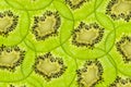 Fresh juicy kiwi fruit texture Royalty Free Stock Photo