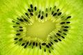 Fresh juicy kiwi fruit texture Royalty Free Stock Photo