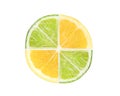 Fresh juicy lemon and lime fruit slices isolated on the white Royalty Free Stock Photo