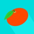 Vector mandarin icon with long shadow.