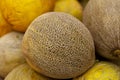 Fresh juicy melon on the counter of the store. View from above.