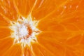 Fresh juicy orange Royalty Free Stock Photo