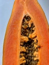 Fresh and juicy papaya, cut in half papaya, tasty and full of vitamins fruit, papaya seeds
