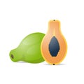 Fresh juicy papaya icon tasty ripe fruit isolated on white background healthy food concept