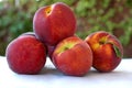 Fresh juicy peach fruit organic food. The natural antioxidants in fruits and vegetables help keep your body working at its best Royalty Free Stock Photo