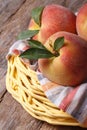 Fresh juicy peaches in a basket on the table closeup Royalty Free Stock Photo