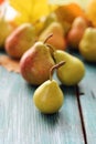 Fresh juicy pears, autumn leaves, on a wooden table Royalty Free Stock Photo