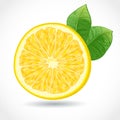 Fresh juicy piece of lemon