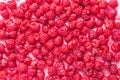 Fresh juicy raspberries background closeup on white Royalty Free Stock Photo