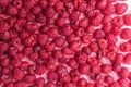 Fresh juicy raspberries background closeup on white Royalty Free Stock Photo