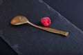 Fresh juicy raspberry and brass spoon