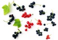 Fresh juicy red and black currants isolated on a white background Royalty Free Stock Photo