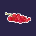 fresh juicy red currant icon tasty ripe fruit berry healthy food concept Royalty Free Stock Photo