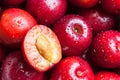 Fresh juicy red plums
