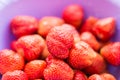 Fresh juicy red strawberries berries with water drops on a plate close Royalty Free Stock Photo