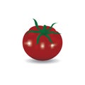 Fresh juicy red tomato isolated on white background Royalty Free Stock Photo