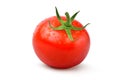 Fresh juicy red Tomato with water drops Royalty Free Stock Photo