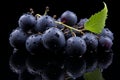 Fresh and juicy ripe acai berry on a dark purple background high quality isolated image