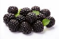 Fresh and juicy ripe blackberry fruit isolated on white background high quality image