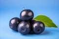 Fresh and juicy ripe huckleberry fruits isolated on vibrant blue background high quality image